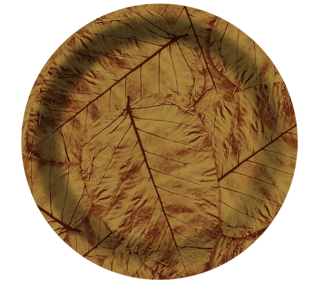 Plate with Sookha Patta pattern
